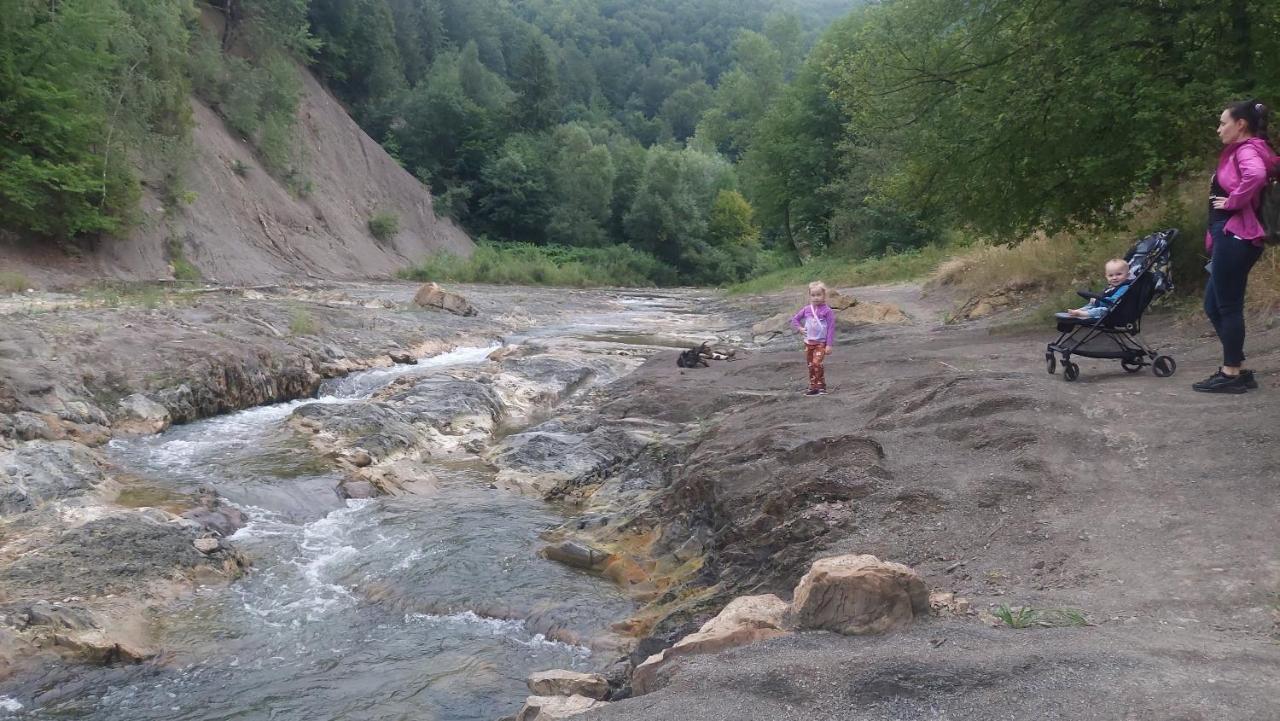 Садиба Федорчуків За Рікою1 Sheshory Dış mekan fotoğraf